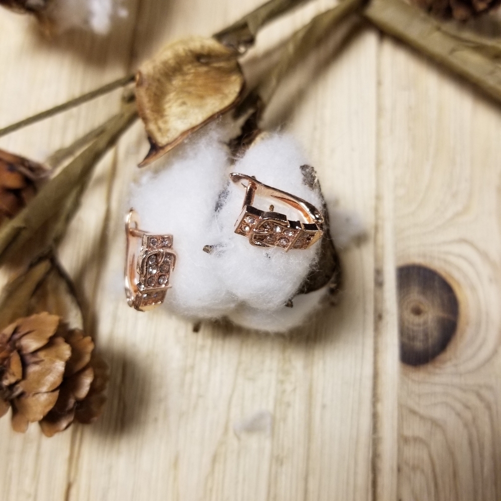 Darling Belt Buckle Earrings in ROSE GOLD - Picture 5 of 10